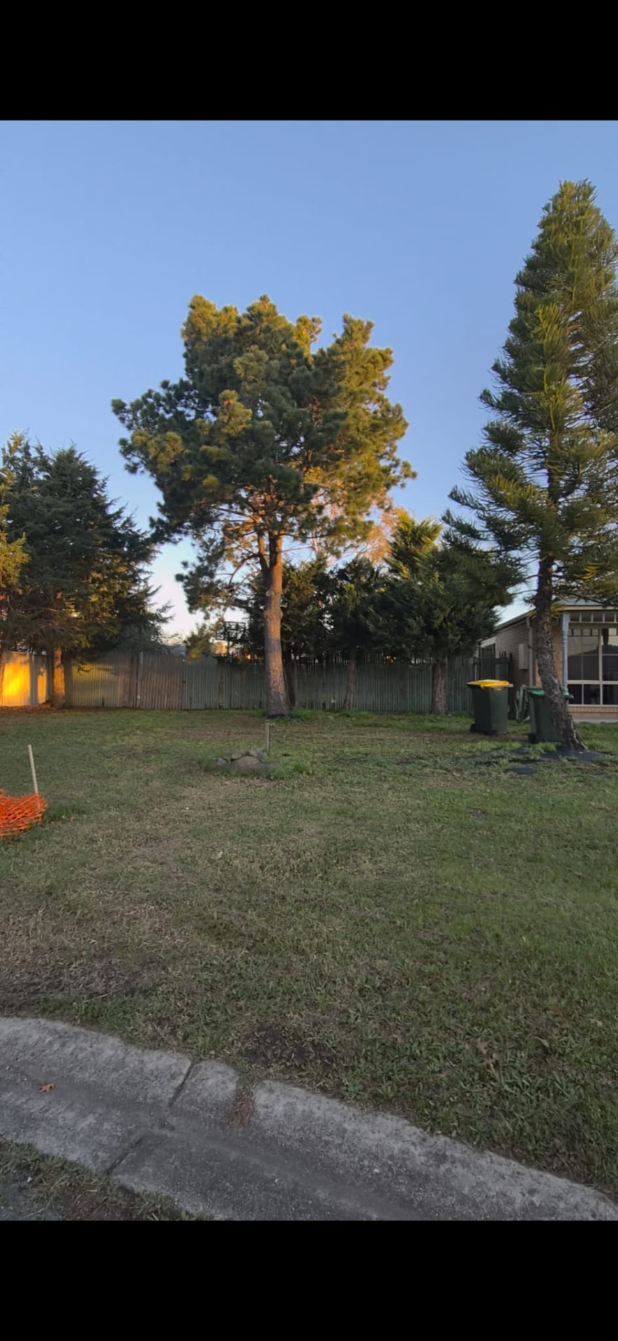 Open yard and side boundary