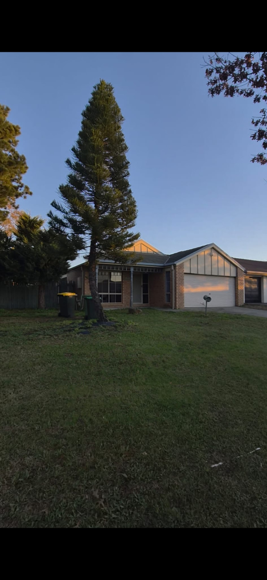 Front setback and established trees